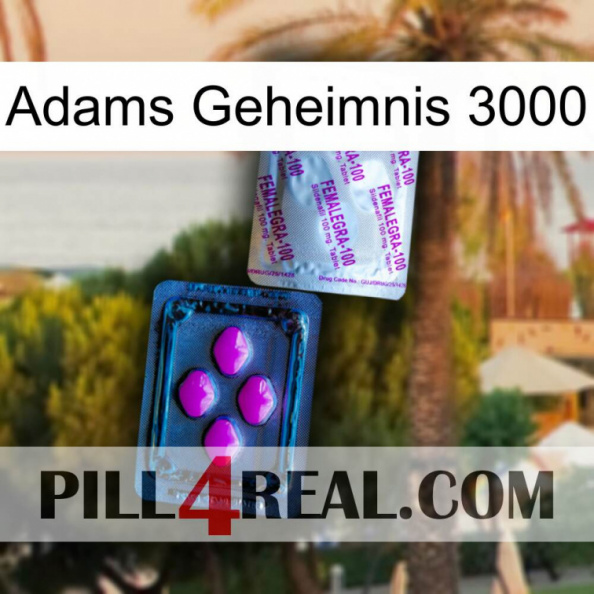 Adams Secret 3000 37.jpg